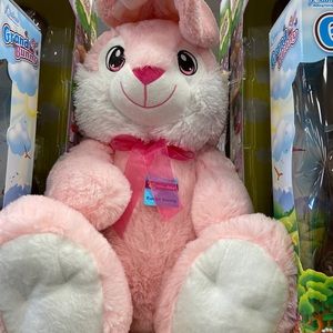 Meet your Posher, Anastasia